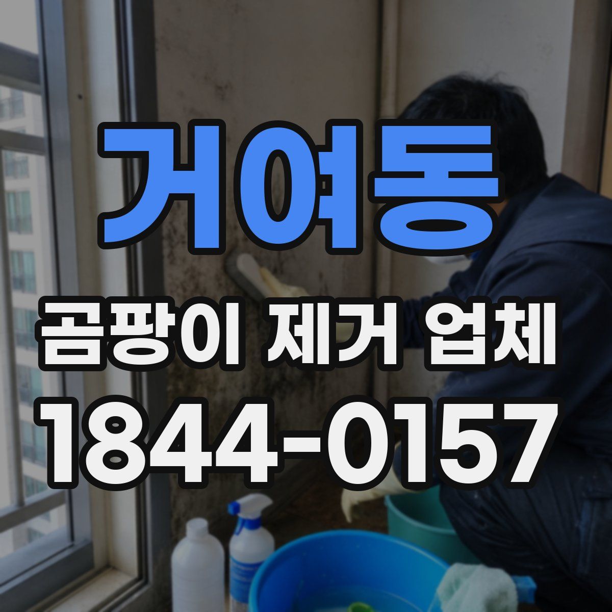 거여동 곰팡이 제거 업체