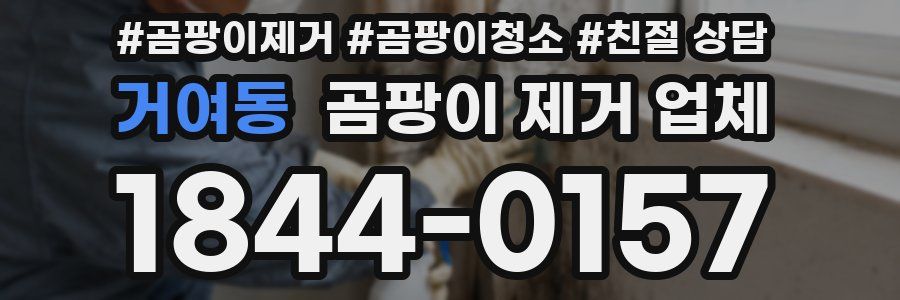 거여동 곰팡이 제거 업체