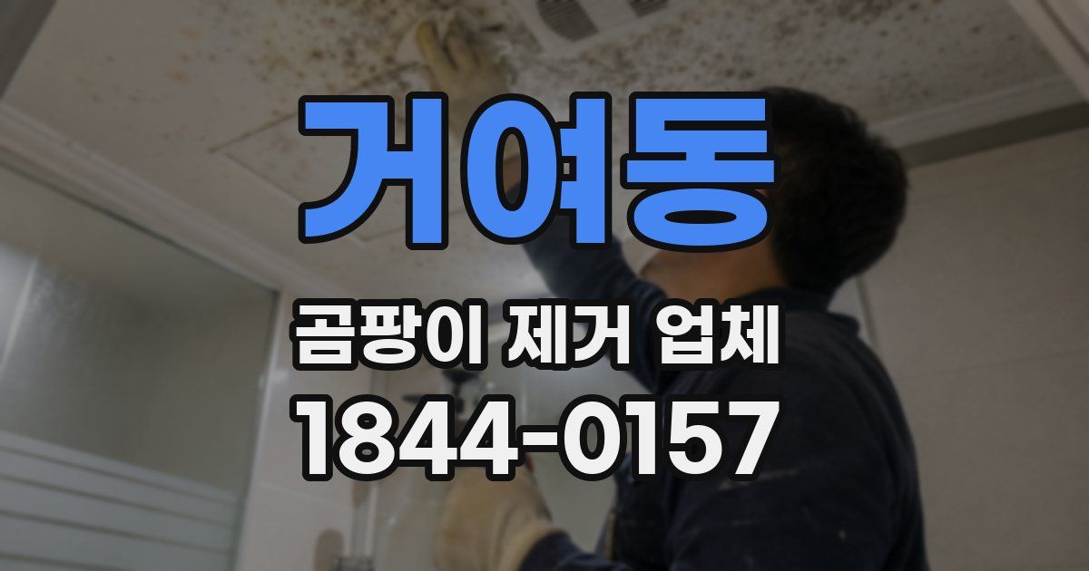 거여동 곰팡이 제거 업체