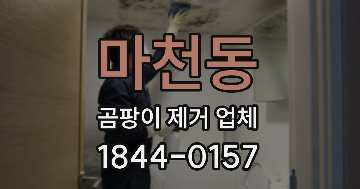 마천동 곰팡이 제거 업체