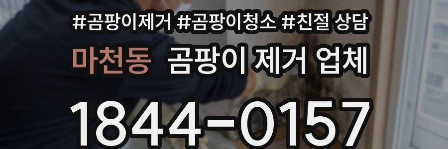 마천동 곰팡이 제거 업체