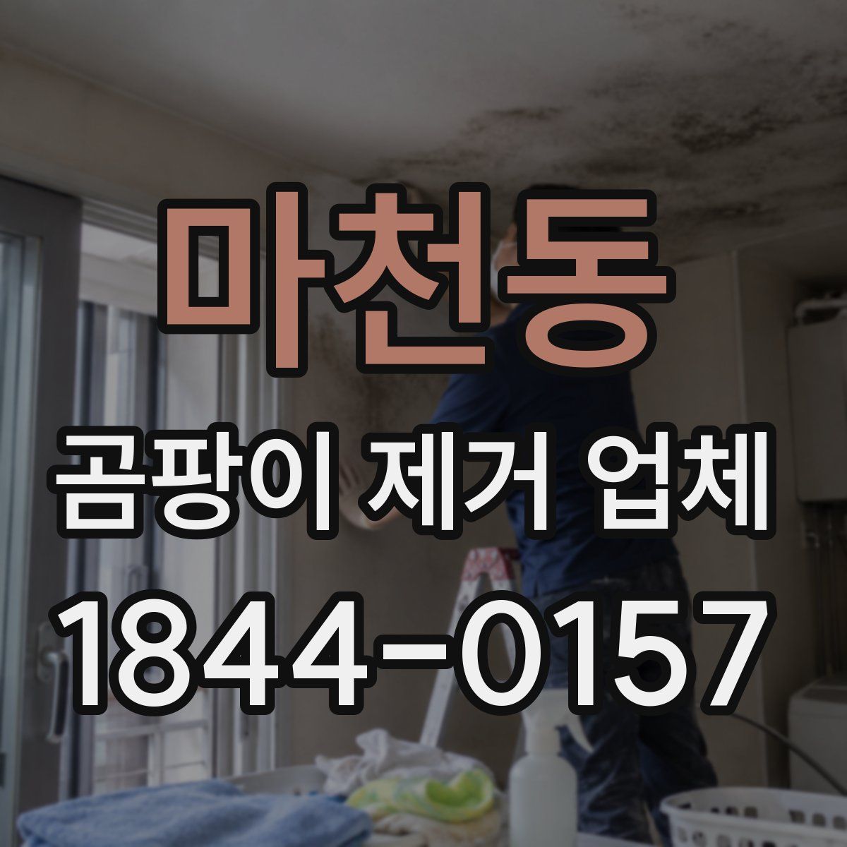마천동 곰팡이 제거 업체