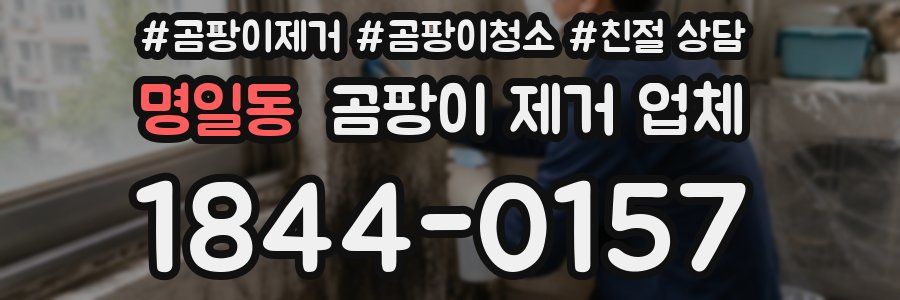 명일동 곰팡이 제거 업체