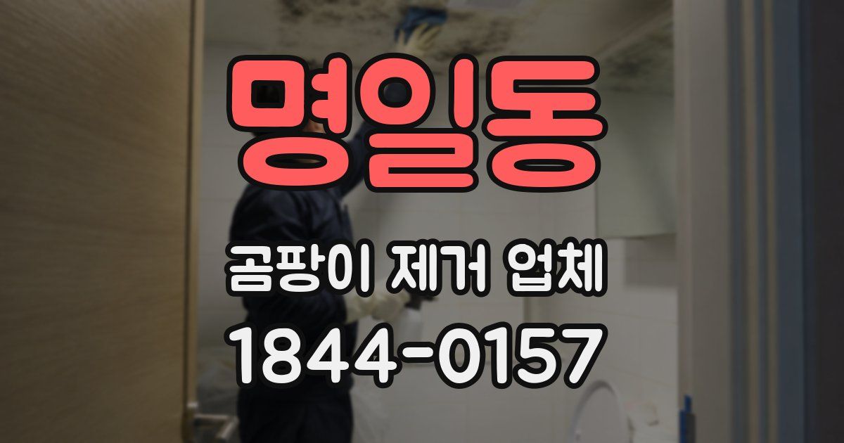 명일동 곰팡이 제거 업체