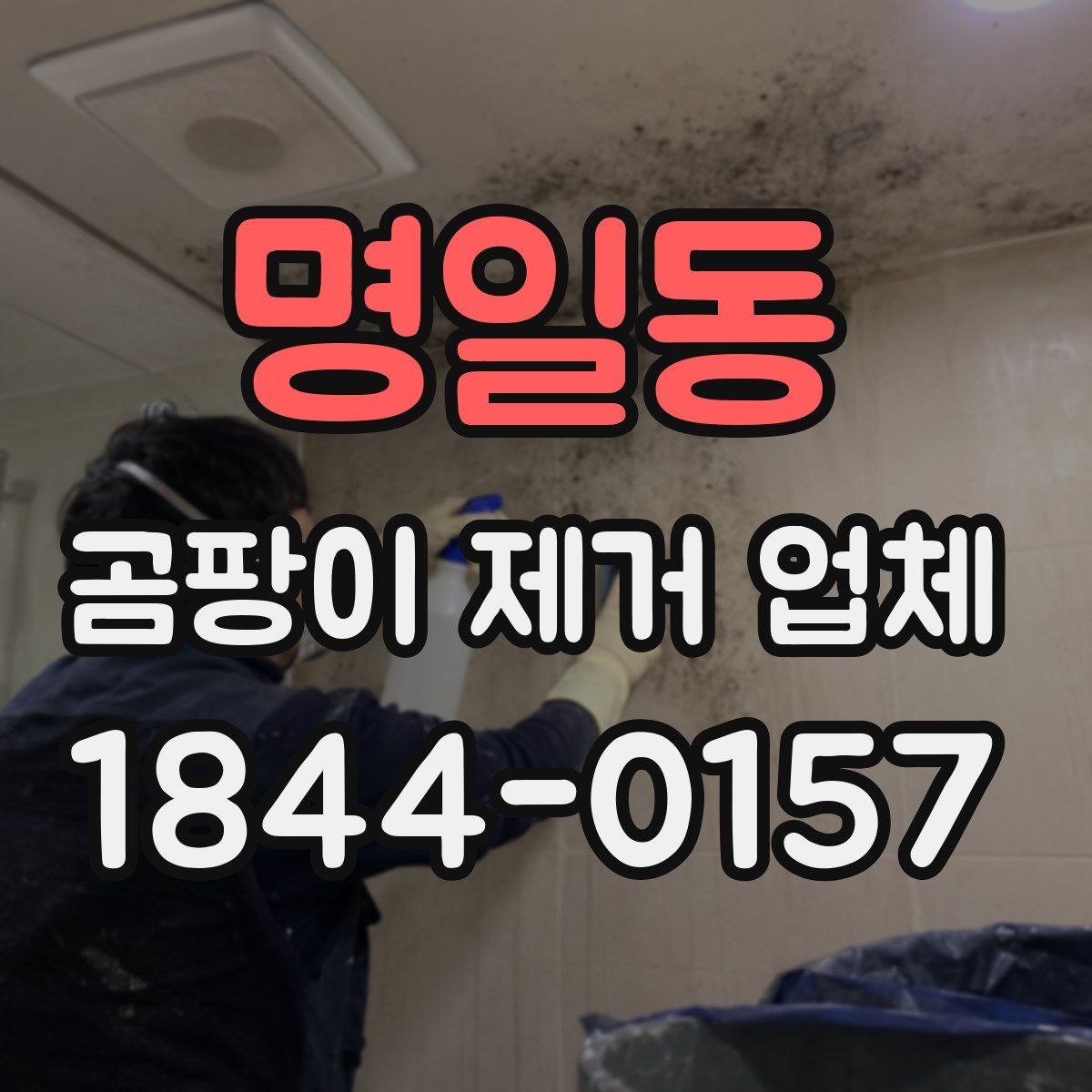 명일동 곰팡이 제거 업체