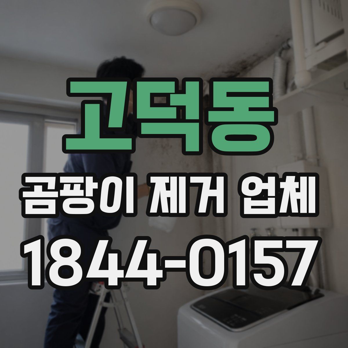 고덕동 곰팡이 제거 업체