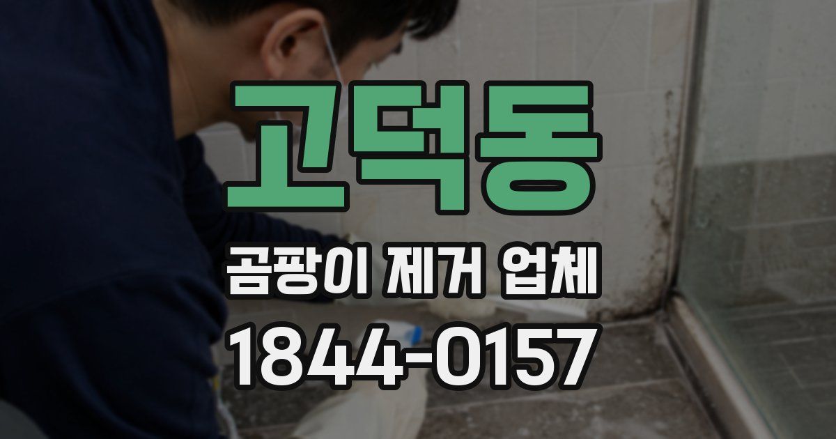 고덕동 곰팡이 제거 업체