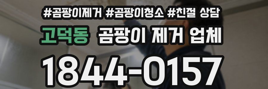 고덕동 곰팡이 제거 업체