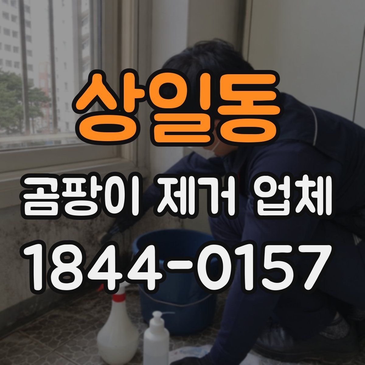 상일동 곰팡이 제거 업체