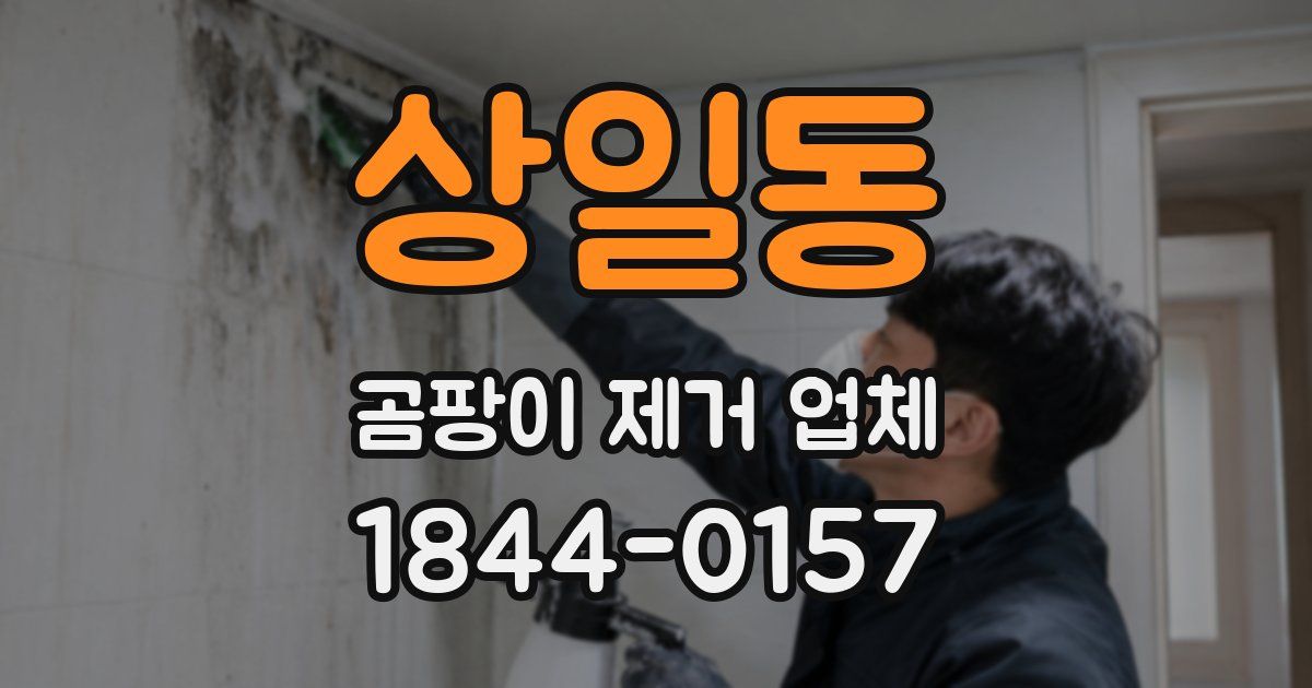 상일동 곰팡이 제거 업체