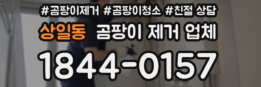 상일동 곰팡이 제거 업체