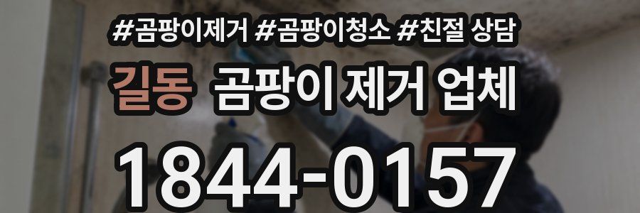 길동 곰팡이 제거 업체
