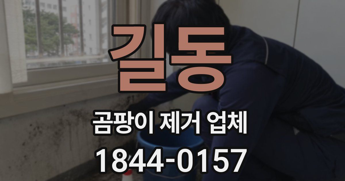 길동 곰팡이 제거 업체