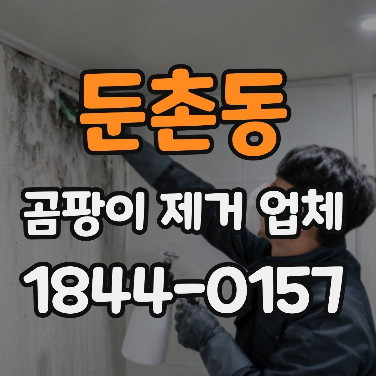 둔촌동 곰팡이 제거 업체 작업 범위를 명확히 묻는 법