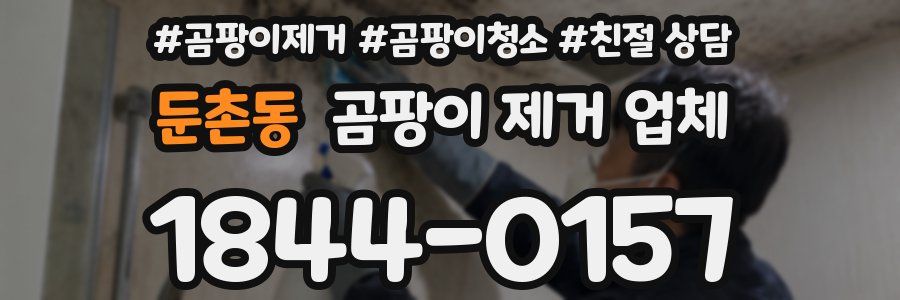 둔촌동 곰팡이 제거 업체