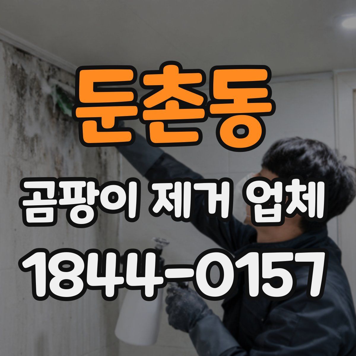 둔촌동 곰팡이 제거 업체