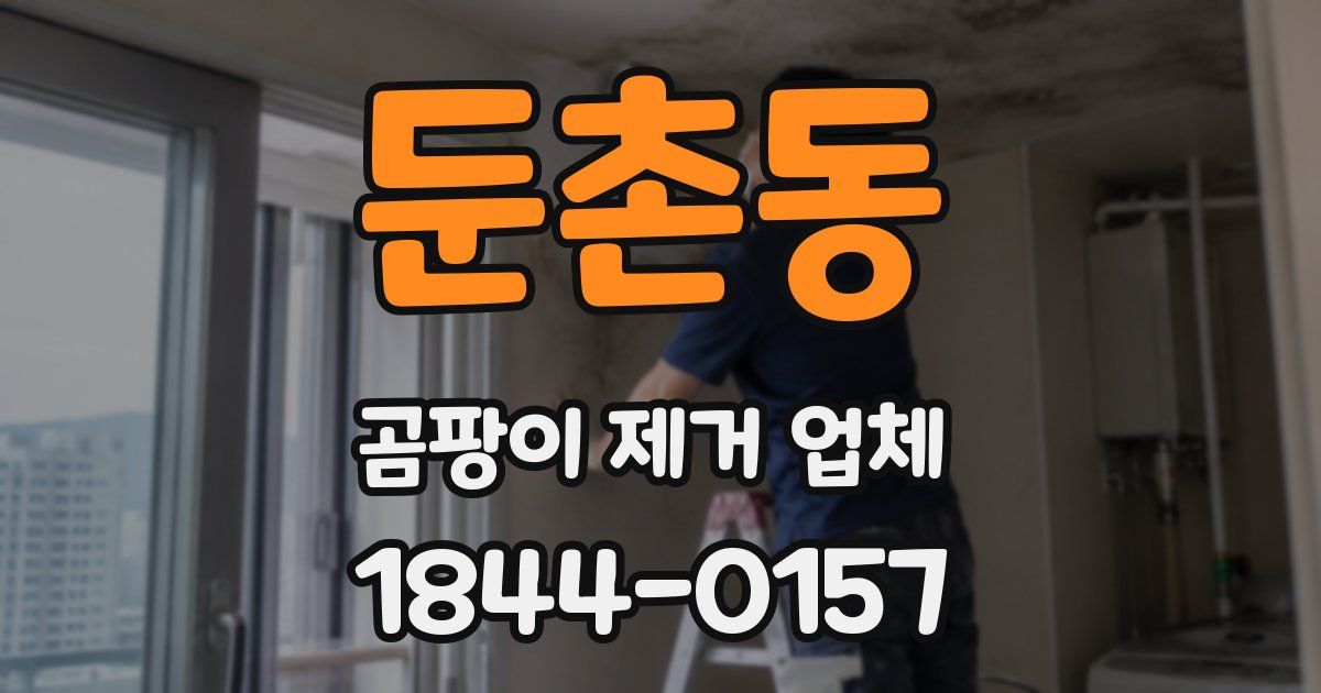 둔촌동 곰팡이 제거 업체