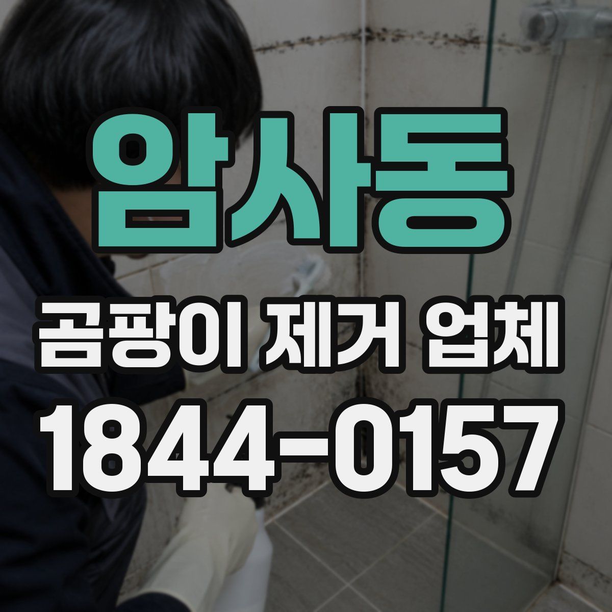 암사동 곰팡이 제거 업체