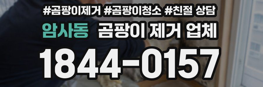 암사동 곰팡이 제거 업체