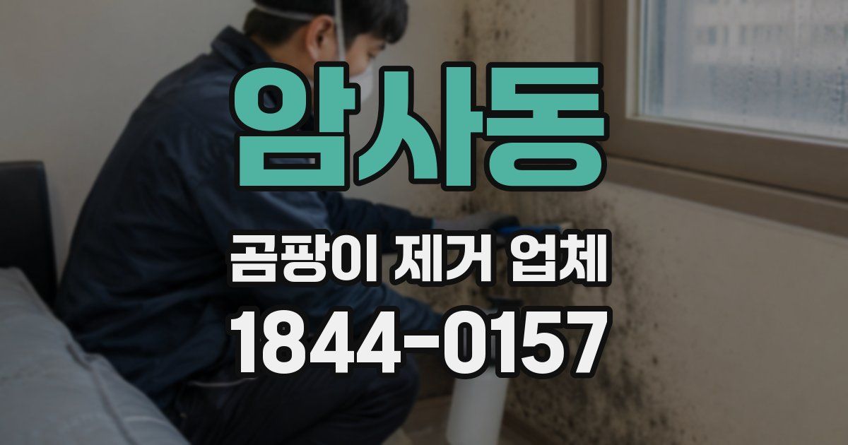 암사동 곰팡이 제거 업체