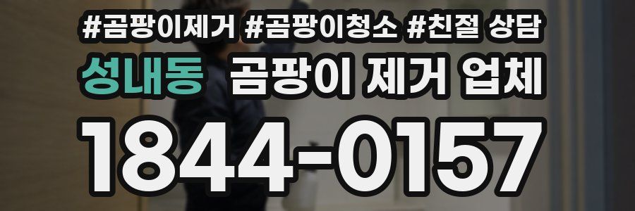 성내동 곰팡이 제거 업체