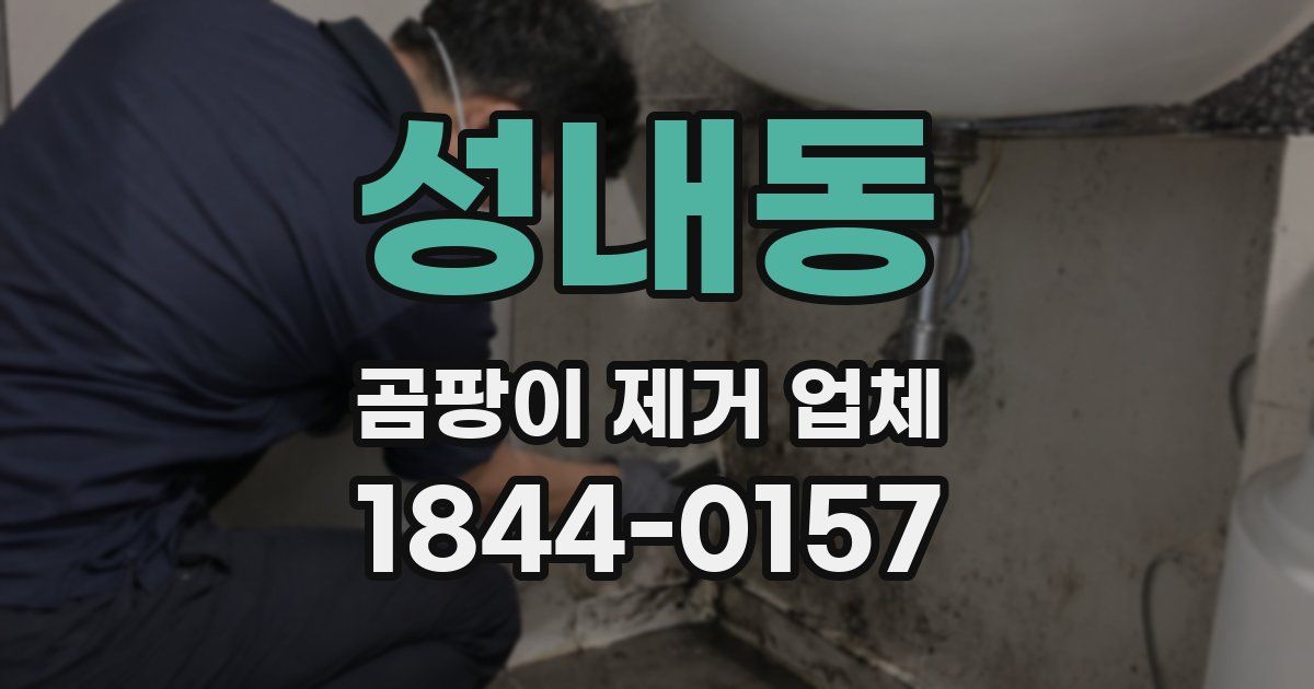 성내동 곰팡이 제거 업체