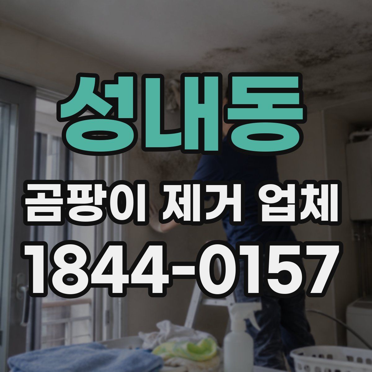 성내동 곰팡이 제거 업체