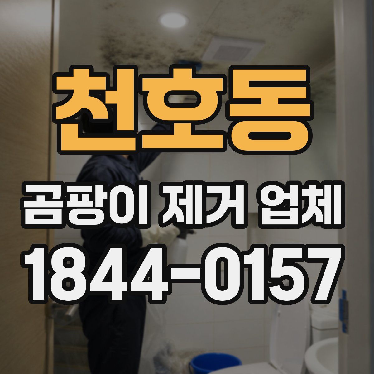 천호동 곰팡이 제거 업체
