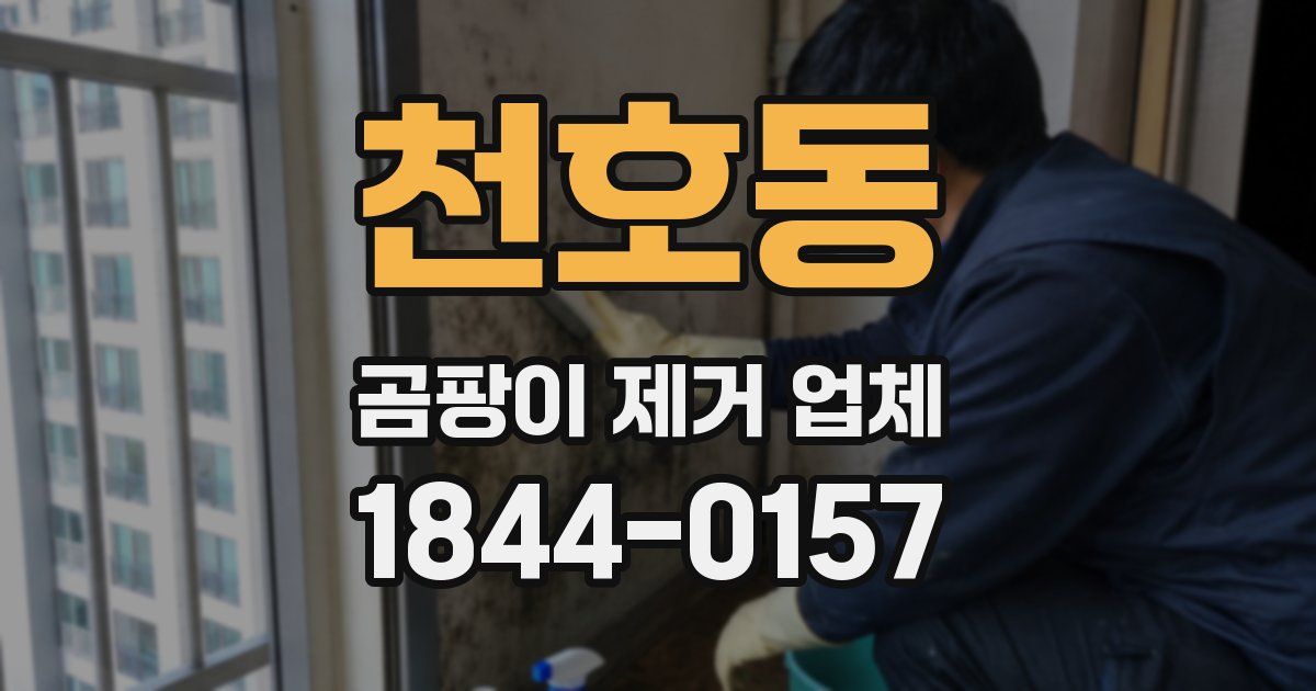 천호동 곰팡이 제거 업체