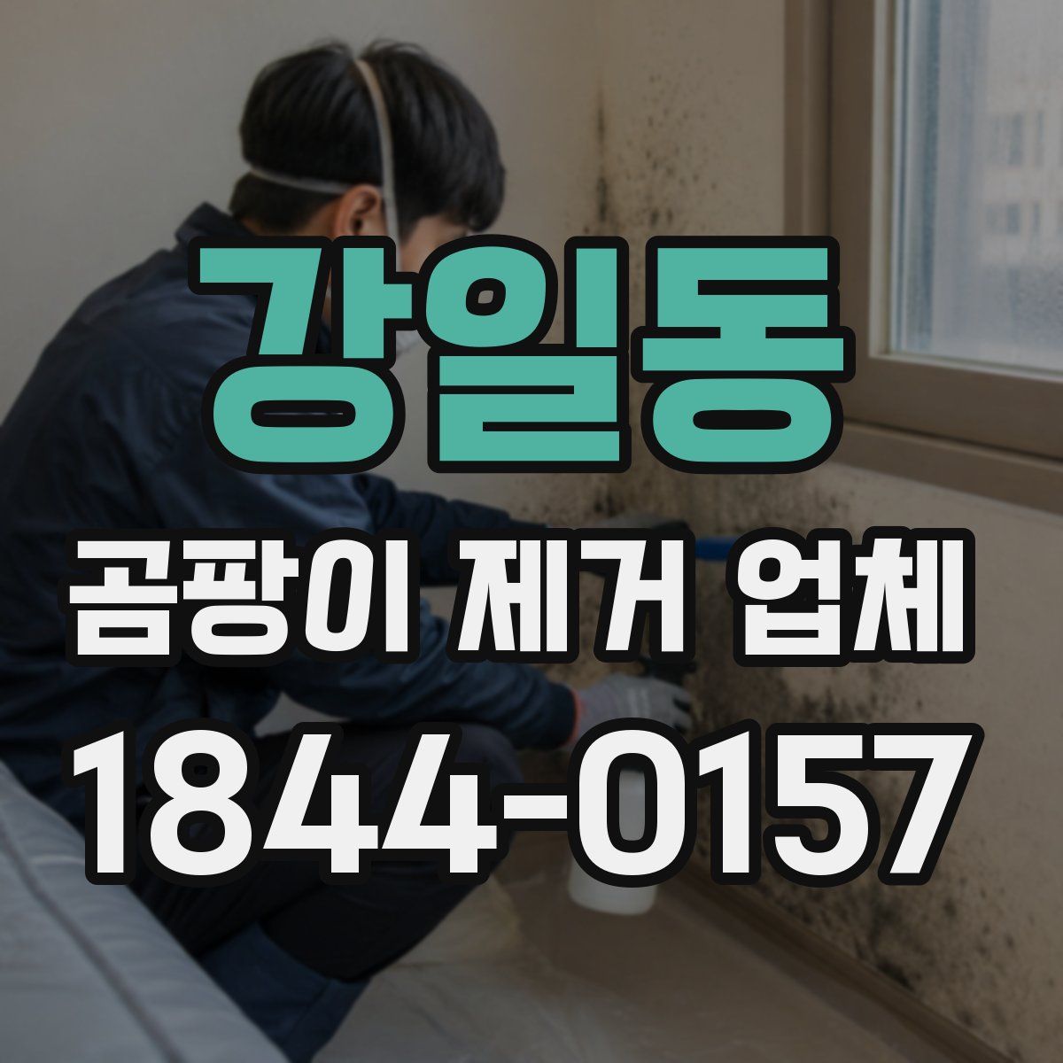 강일동 곰팡이 제거 업체