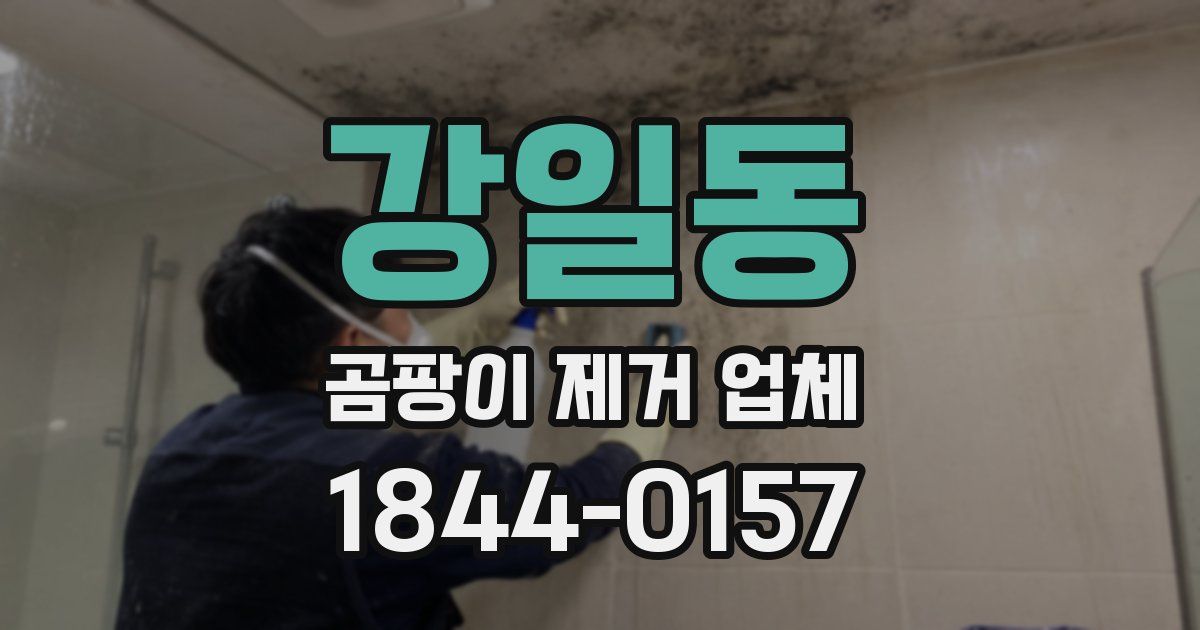 강일동 곰팡이 제거 업체