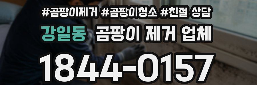 강일동 곰팡이 제거 업체