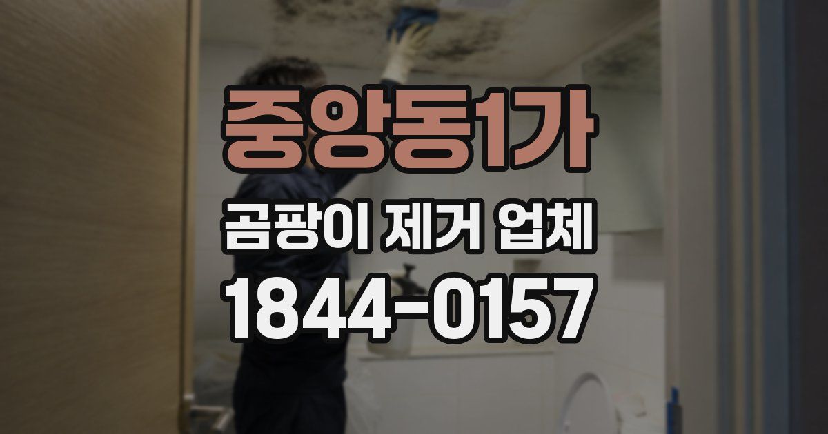 중앙동1가 곰팡이 제거 업체