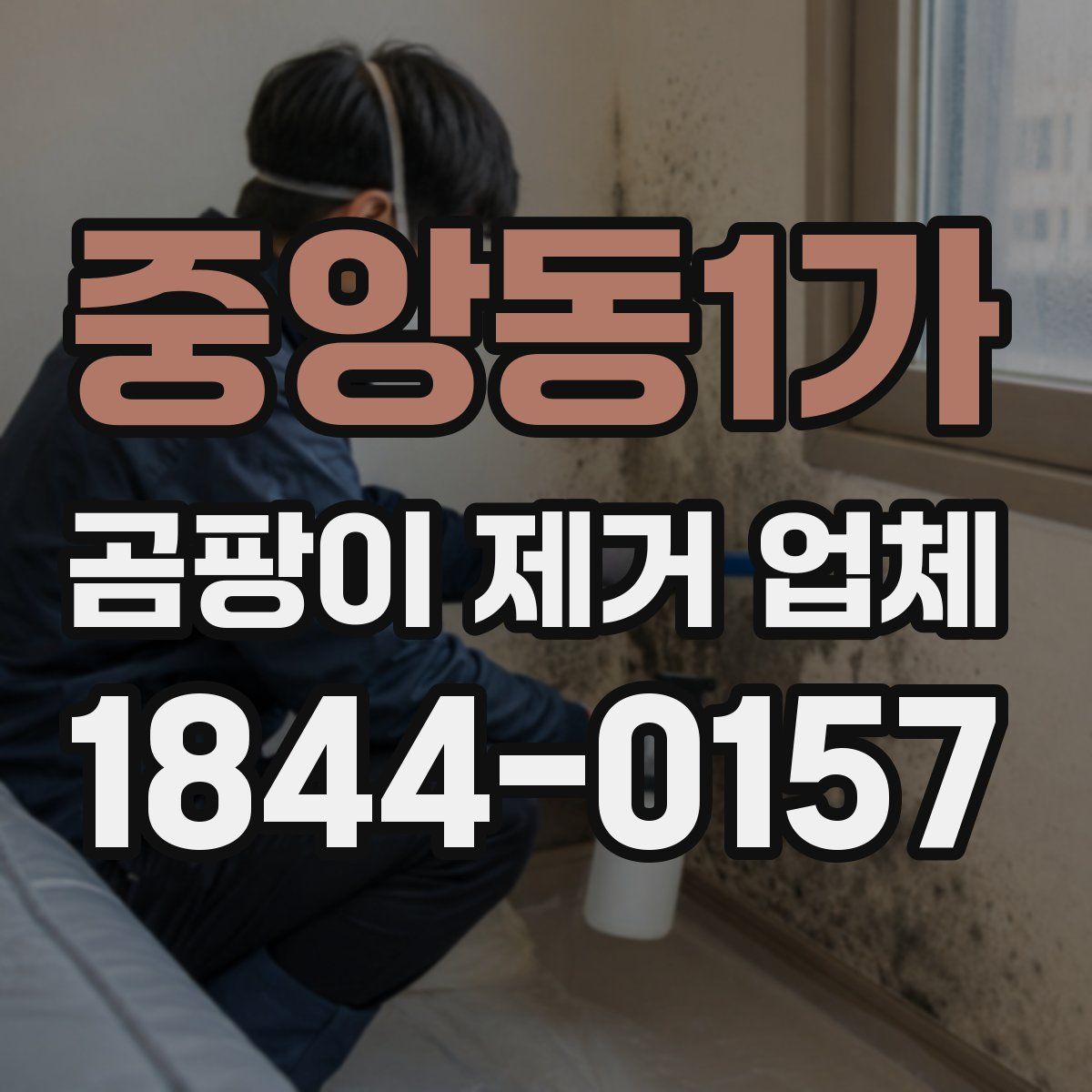 중앙동1가 곰팡이 제거 업체