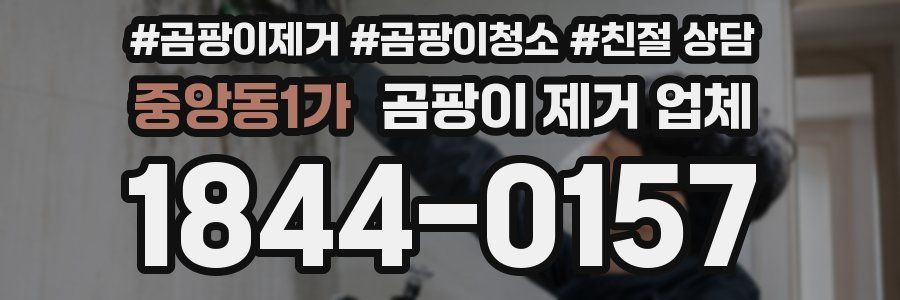 중앙동1가 곰팡이 제거 업체