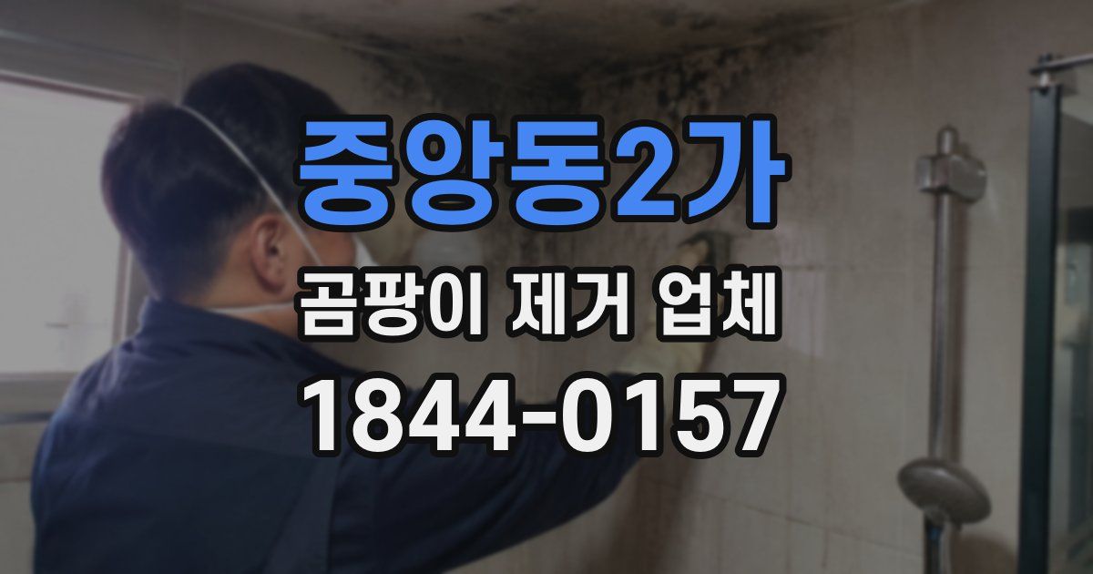 중앙동2가 곰팡이 제거 업체