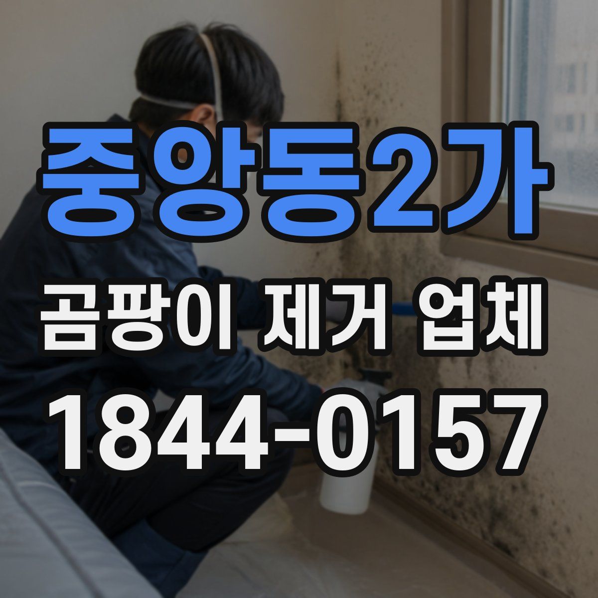 중앙동2가 곰팡이 제거 업체