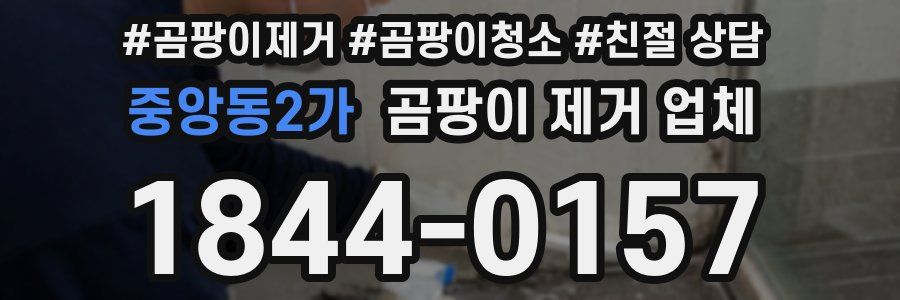 중앙동2가 곰팡이 제거 업체