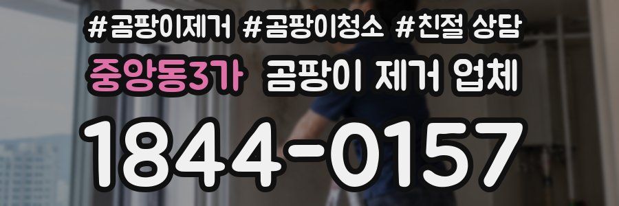 중앙동3가 곰팡이 제거 업체