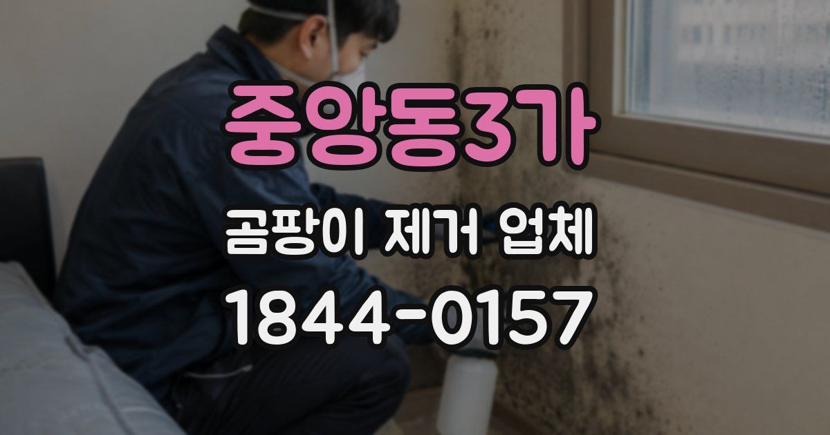 중앙동3가 곰팡이 제거 업체