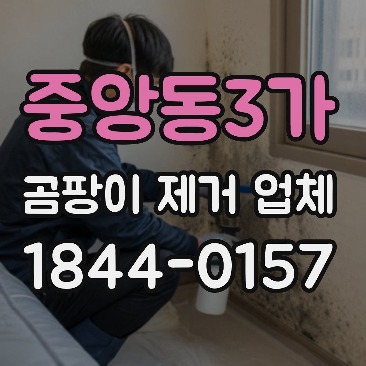 중앙동3가 곰팡이 제거 업체