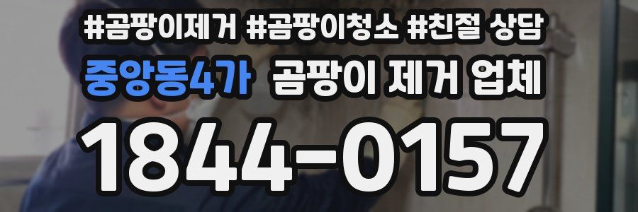 중앙동4가 곰팡이 제거 업체