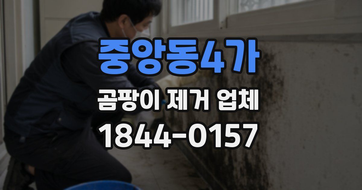 중앙동4가 곰팡이 제거 업체