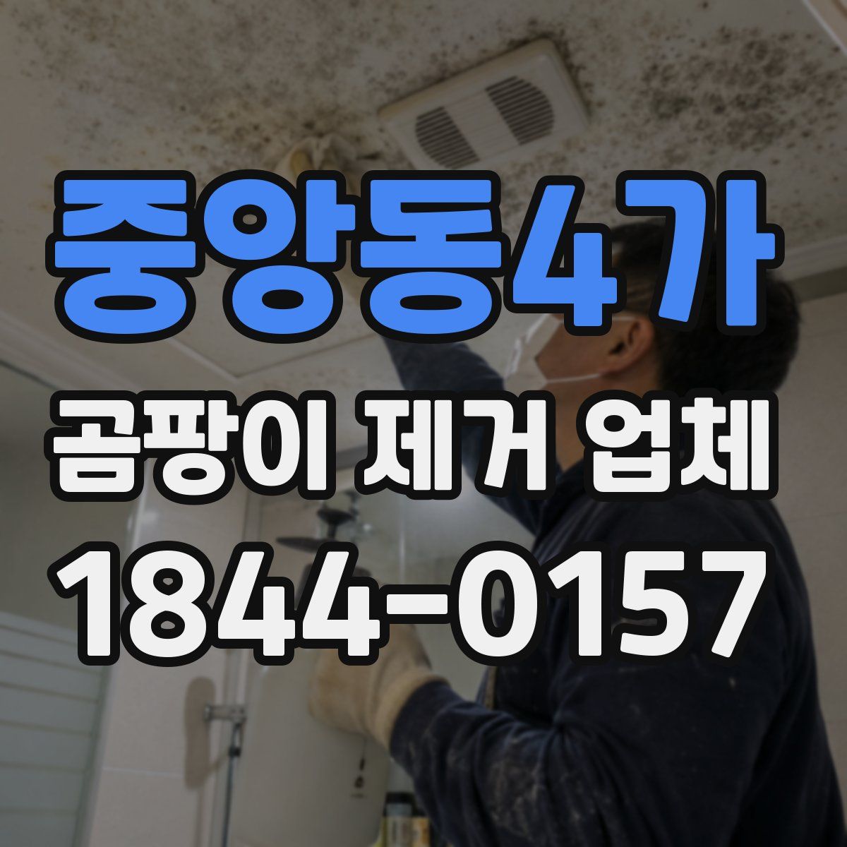 중앙동4가 곰팡이 제거 업체