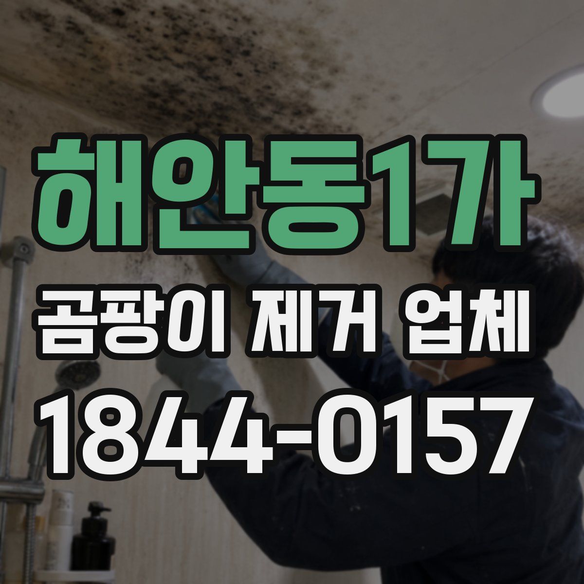 해안동1가 곰팡이 제거 업체