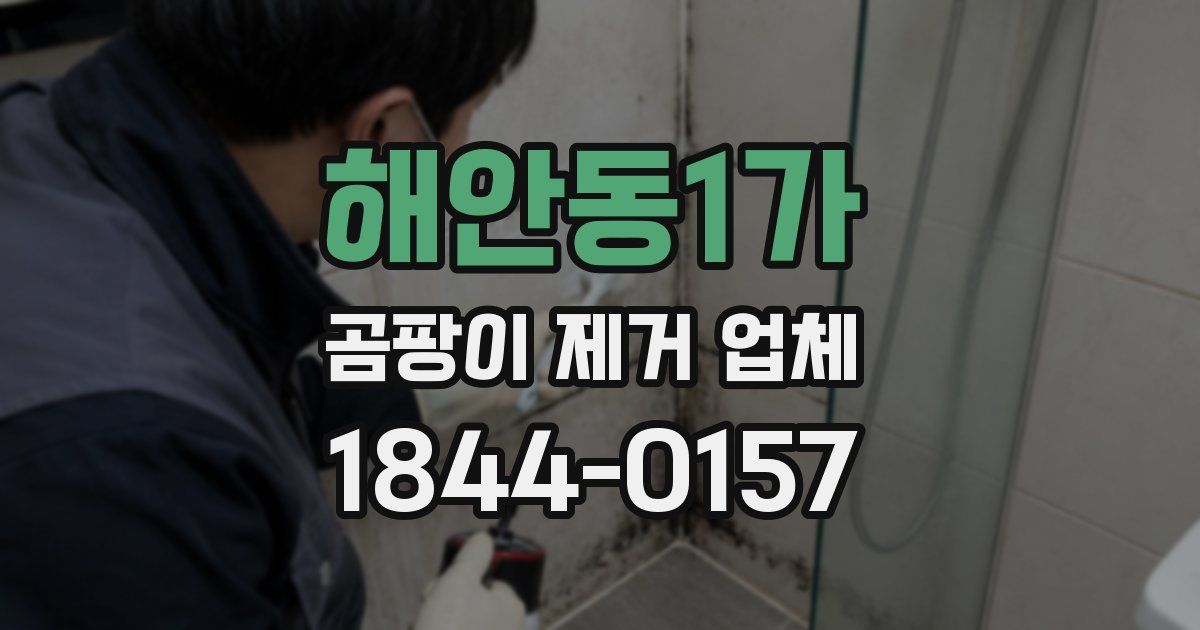 해안동1가 곰팡이 제거 업체