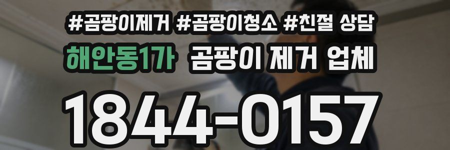해안동1가 곰팡이 제거 업체