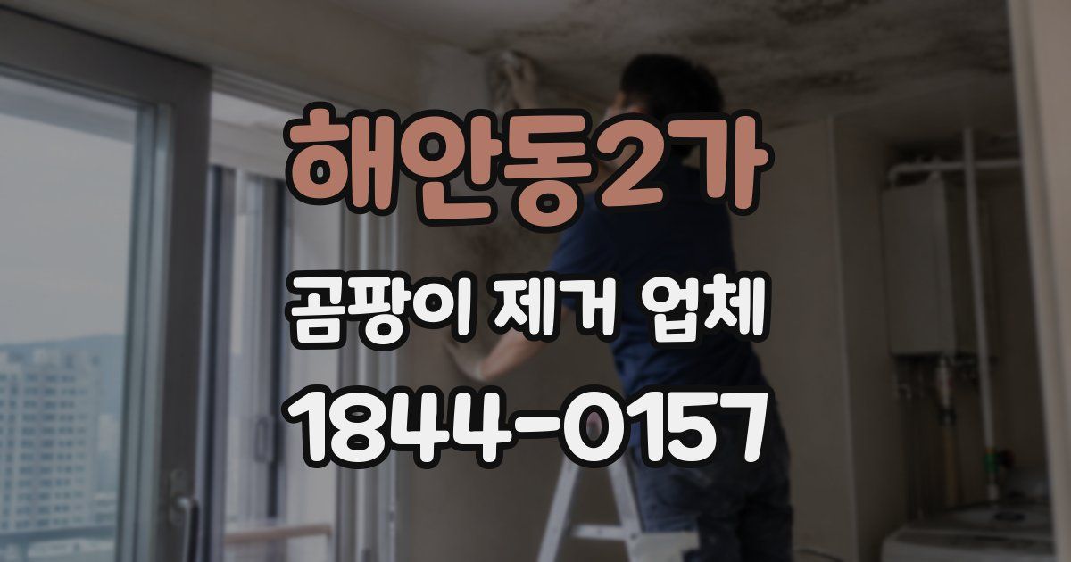 해안동2가 곰팡이 제거 업체