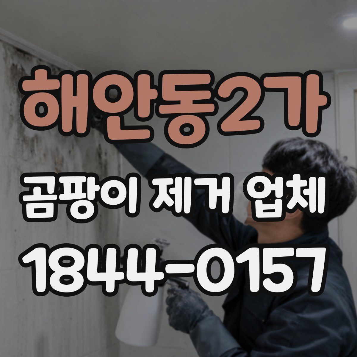 해안동2가 곰팡이 제거 업체