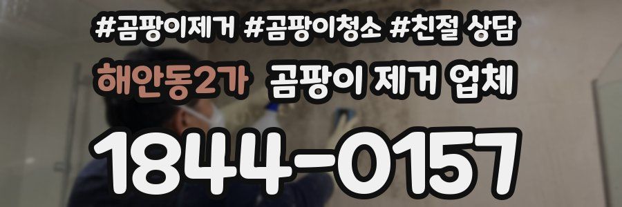 해안동2가 곰팡이 제거 업체